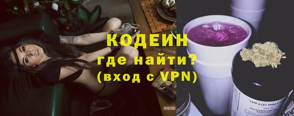 прущие грибы Балахна