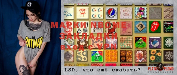 прущие грибы Балахна