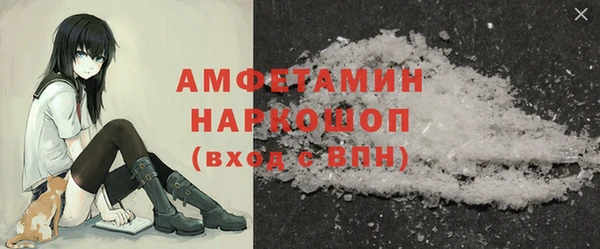 прущие грибы Балахна