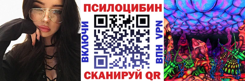 Купить  Нягань  Псилоцибиновые грибы Cubensis 